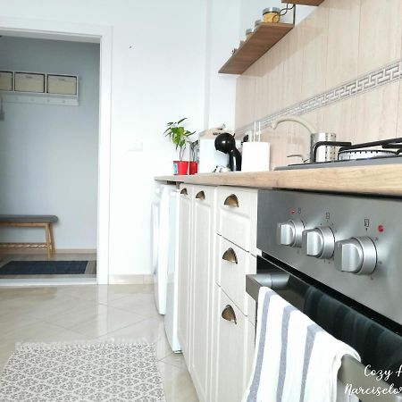 Cozy Apartment Narciselor Suceava Ipotesti  Eksteriør billede