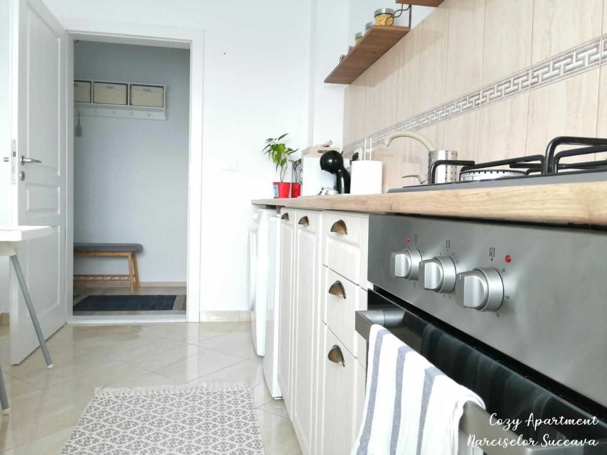 Cozy Apartment Narciselor Suceava Ipotesti  Eksteriør billede