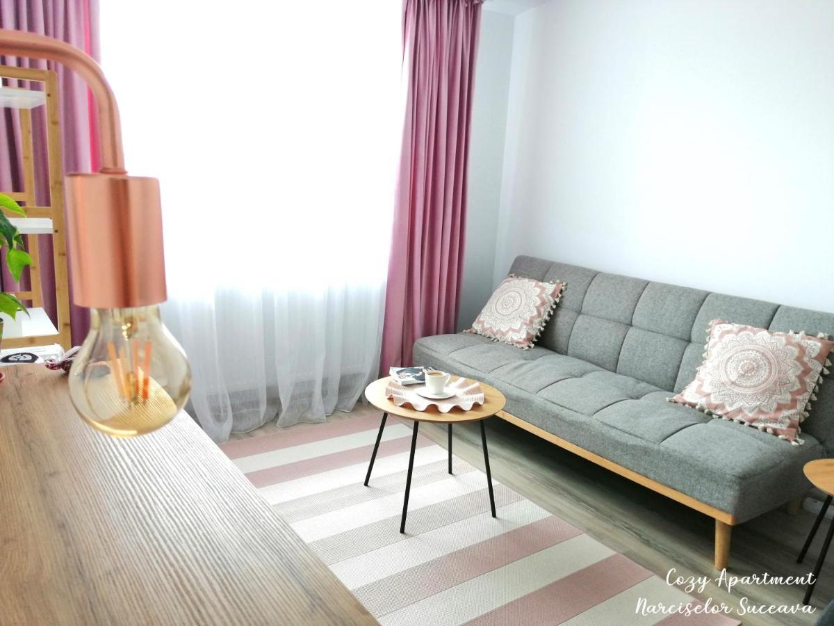 Cozy Apartment Narciselor Suceava Ipotesti  Eksteriør billede