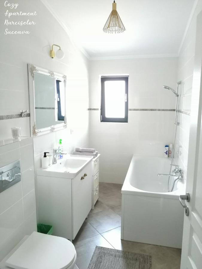 Cozy Apartment Narciselor Suceava Ipotesti  Eksteriør billede